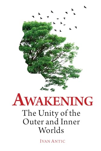 Awakening: The Unity of the Outer and Inner Worlds (Existence - Consciousness - Bliss, Band 4) von Independently published